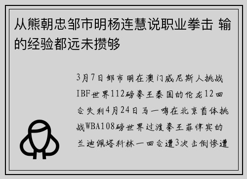 从熊朝忠邹市明杨连慧说职业拳击 输的经验都远未攒够