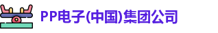 pp电子
